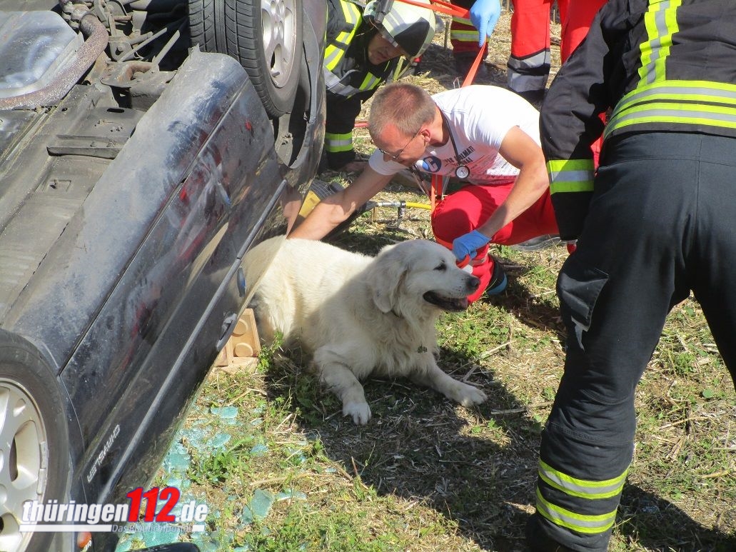 Unfall Gefell b