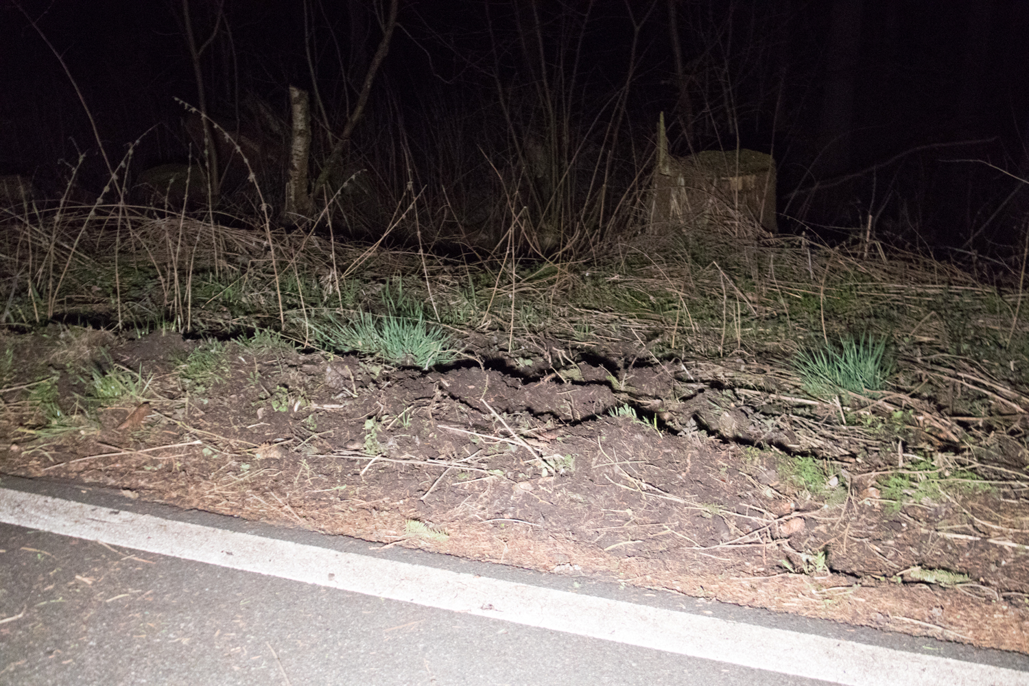 20190326-Tonndorf-Unfall