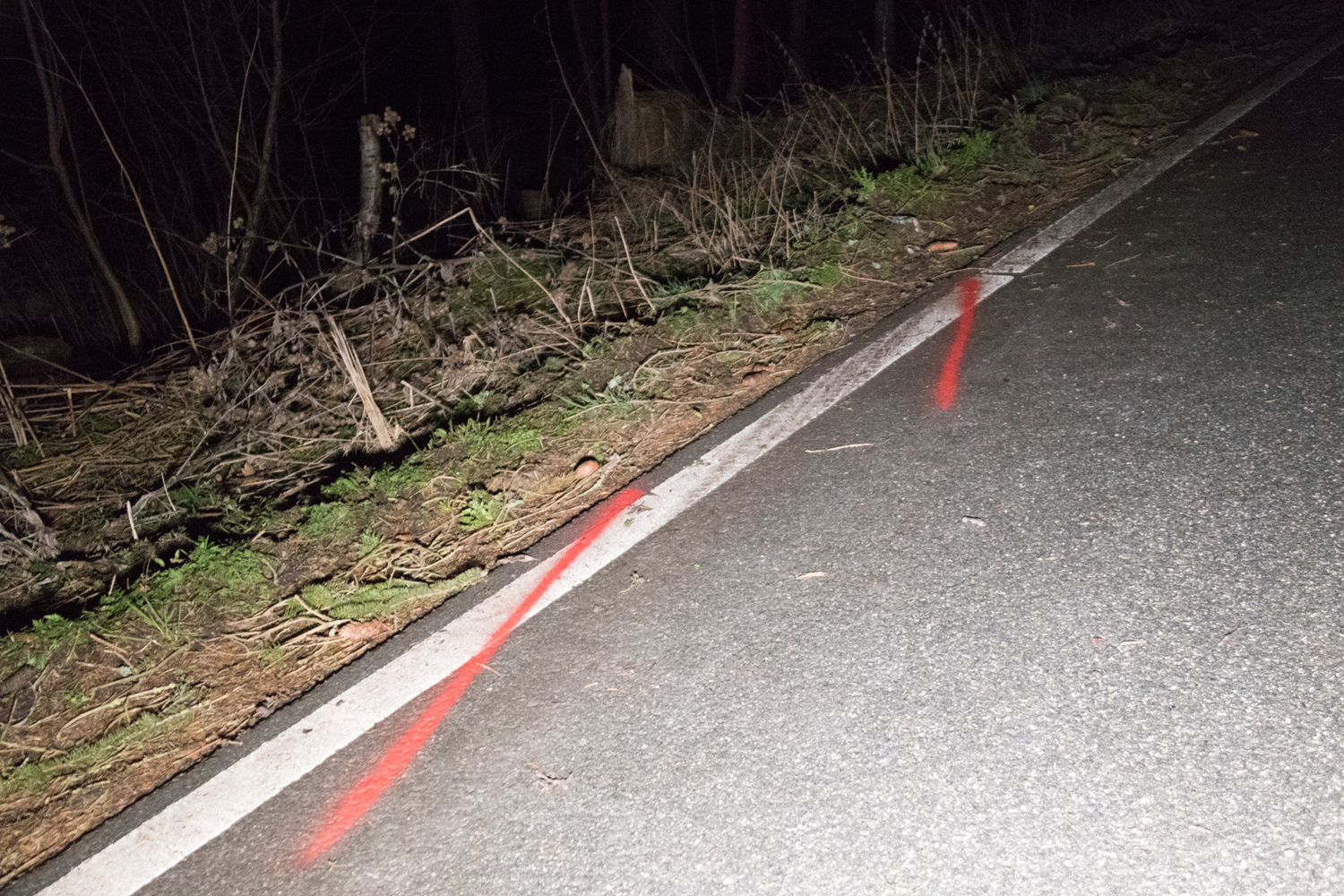 20190326-Tonndorf-Unfall
